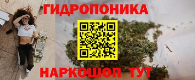стаф Краснознаменск