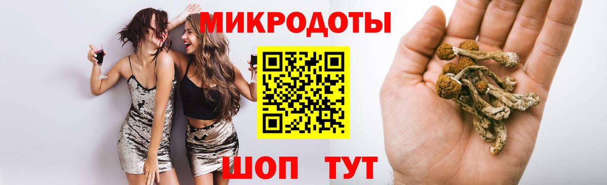 Воткинск  Псилоцибиновые грибы Psilocybe  Вход с VPN 